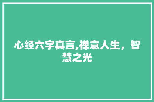 心经六字真言,禅意人生，智慧之光  第1张