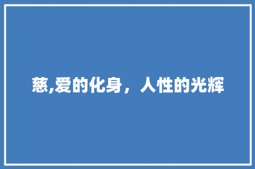慈,爱的化身,人性的光辉