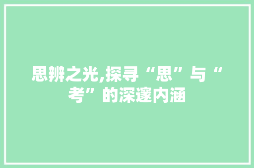 思辨之光,探寻“思”与“考”的深邃内涵