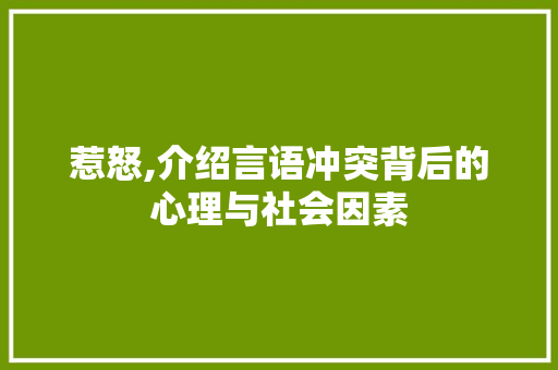 惹怒,介绍言语冲突背后的心理与社会因素