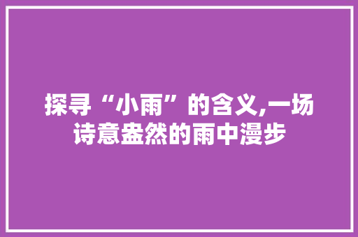 探寻“小雨”的含义,一场诗意盎然的雨中漫步
