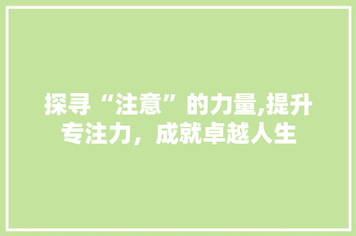 探寻“注意”的力量,提升专注力，成就卓越人生