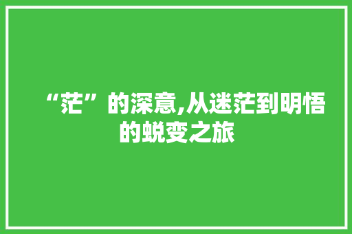 “茫”的深意,从迷茫到明悟的蜕变之旅