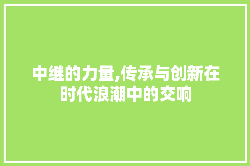 中继的力量,传承与创新在时代浪潮中的交响