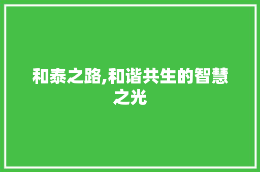 和泰之路,和谐共生的智慧之光