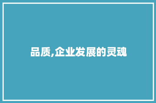 品质,企业发展的灵魂