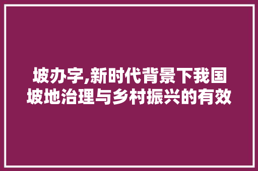 坡办字,新时代背景下我国坡地治理与乡村振兴的有效路径