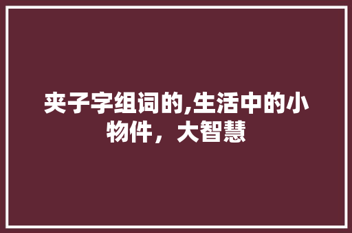 夹子字组词的,生活中的小物件，大智慧