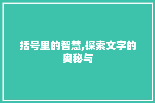 括号里的智慧,探索文字的奥秘与