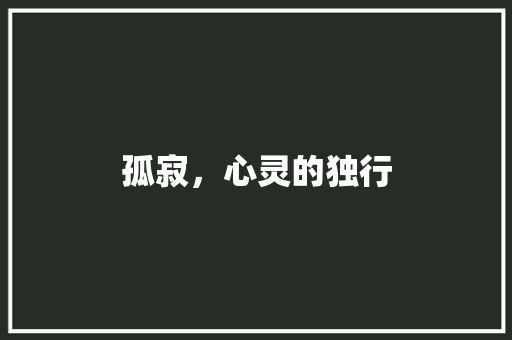 孤寂，心灵的独行