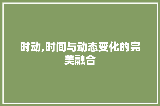 时动,时间与动态变化的完美融合