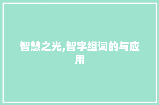 智慧之光,智字组词的与应用