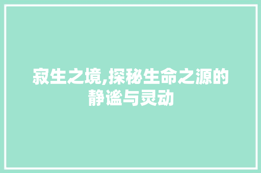 寂生之境,探秘生命之源的静谧与灵动