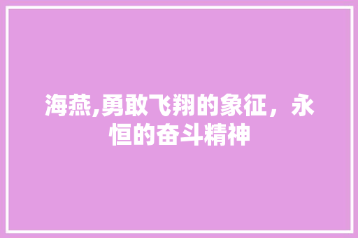 海燕,勇敢飞翔的象征，永恒的奋斗精神