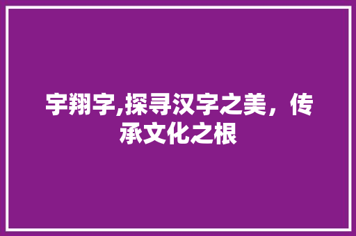 宇翔字,探寻汉字之美，传承文化之根