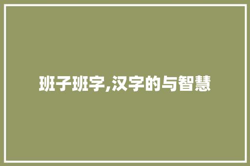 班子班字,汉字的与智慧