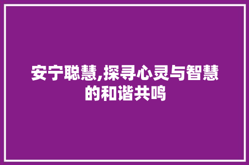 安宁聪慧,探寻心灵与智慧的和谐共鸣