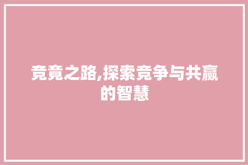 竞竟之路,探索竞争与共赢的智慧 第1张 竞竟之路,探索竞争与共赢的智慧 第1张