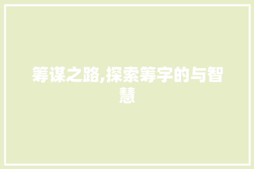 筹谋之路,探索筹字的与智慧