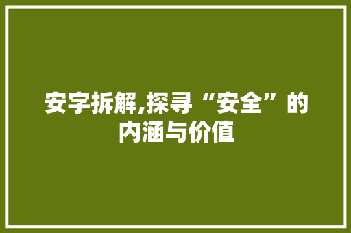 安字拆解,探寻“安全”的内涵与价值