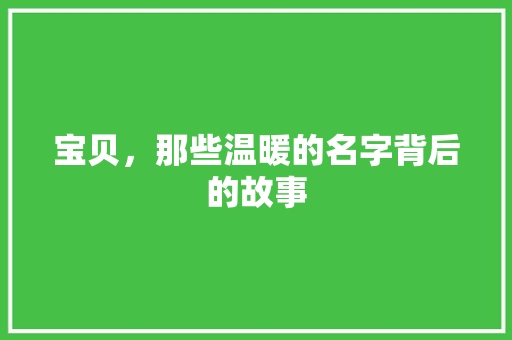 宝贝，那些温暖的名字背后的故事