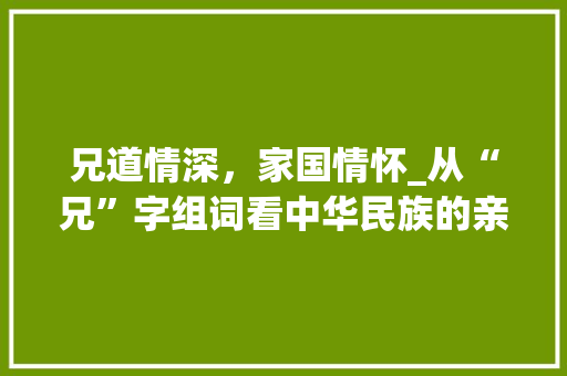 兄道情深,家国情怀_从“兄”字组词看中华民族的亲情文化