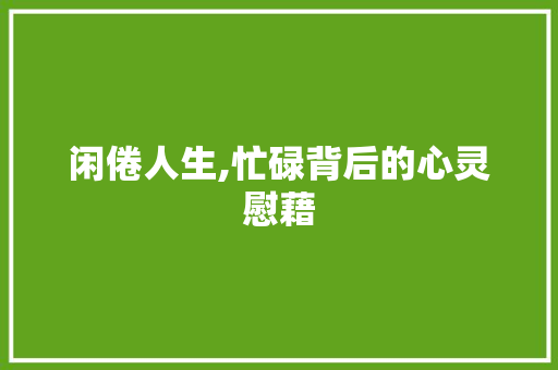 闲倦人生,忙碌背后的心灵慰藉