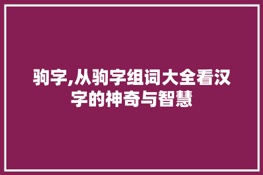 驹字,从驹字组词大全看汉字的神奇与智慧