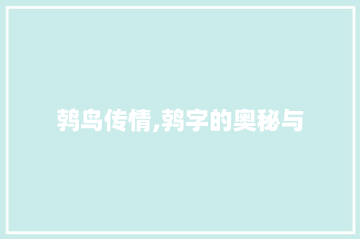 鹁鸟传情,鹁字的奥秘与  第1张