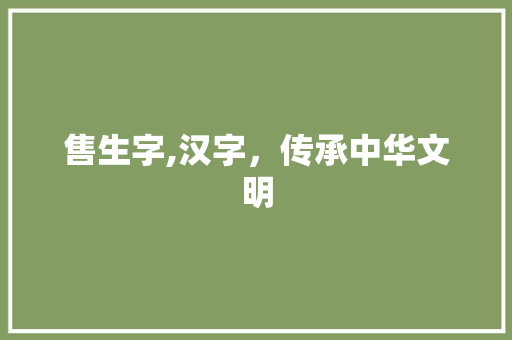 售生字,汉字,传承中华文明