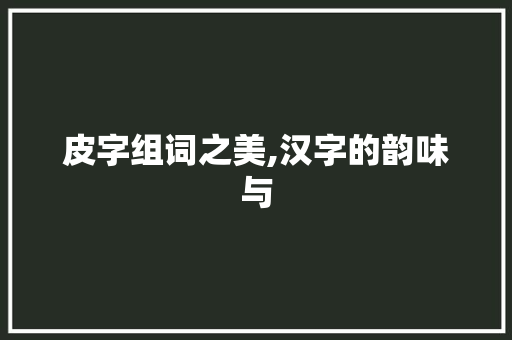 皮字组词之美,汉字的韵味与