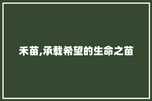 禾苗,承载希望的生命之苗