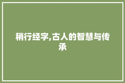 稍行经字,古人的智慧与传承
