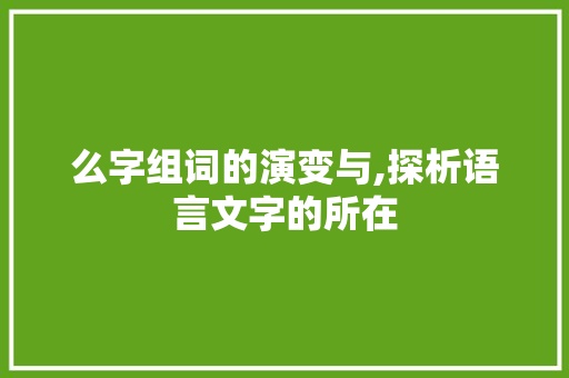 么字组词的演变与,探析语言文字的所在