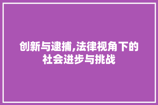 创新与逮捕,法律视角下的社会进步与挑战