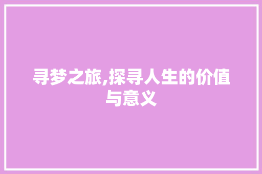 寻梦之旅,探寻人生的价值与意义