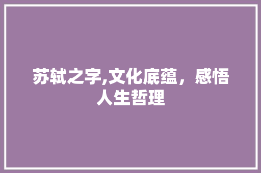 苏轼之字,文化底蕴，感悟人生哲理