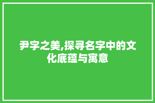 尹字之美,探寻名字中的文化底蕴与寓意