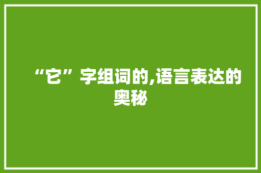 “它”字组词的,语言表达的奥秘