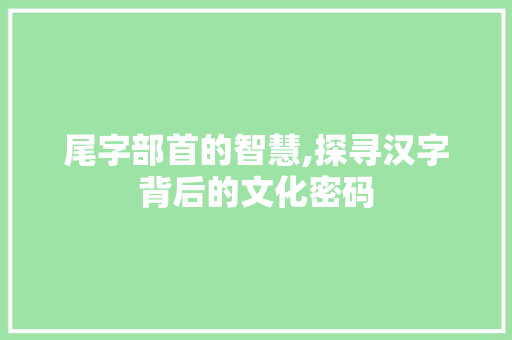 尾字部首的智慧,探寻汉字背后的文化密码