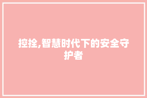 控拴,智慧时代下的安全守护者