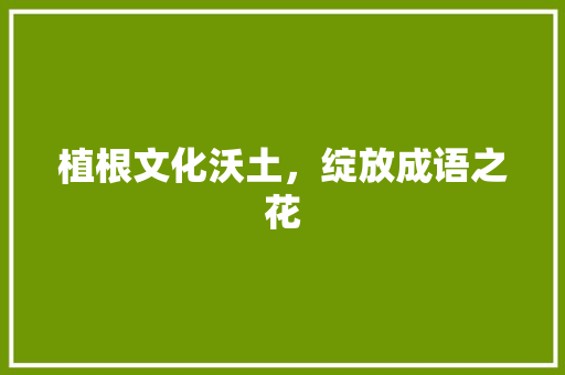 植根文化沃土,绽放成语之花