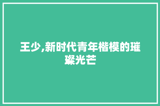 王少,新时代青年楷模的璀璨光芒 第1张 王少,新时代青年楷模的璀璨光芒 第1张