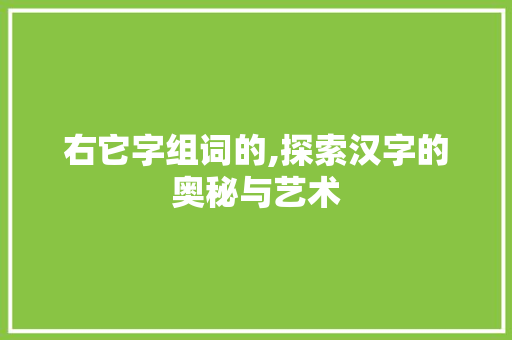 右它字组词的,探索汉字的奥秘与艺术