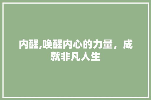 内醒,唤醒内心的力量，成就非凡人生