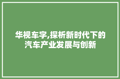 华视车字,探析新时代下的汽车产业发展与创新 第1张 华视车字,探析新时代下的汽车产业发展与创新 第1张
