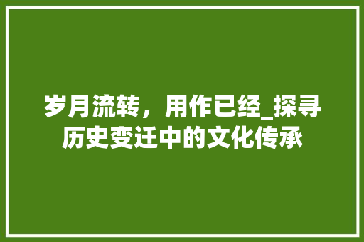 岁月流转,用作已经_探寻历史变迁中的文化传承