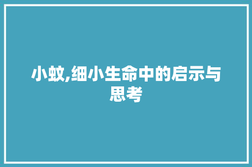 小蚊,细小生命中的启示与思考