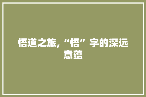 悟道之旅,“悟”字的深远意蕴