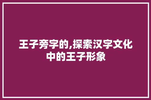王子旁字的,探索汉字文化中的王子形象